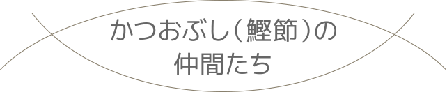 タイトルかつおぶし（鰹節）の仲間たち