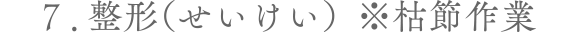 ７整形（せいけい） 枯節作業